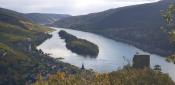 Sicht auf den Rhein