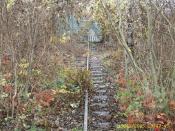 Die ehemalige Sicht zum Cache