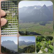 Blick von/View from the Plattform
