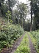 Der Weg ist das ...