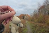 Fotobeispiel: Berg mit Landschildkroete