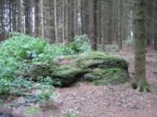 Stein auf dem Fürstenstein