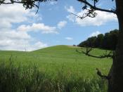 Blick von Westen auf den Gipfel des Bungsbergs