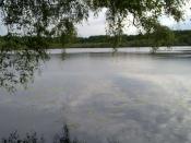 Heiliges Meer 1