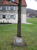 Feldberg