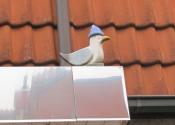 Suchbild Nr. 61
